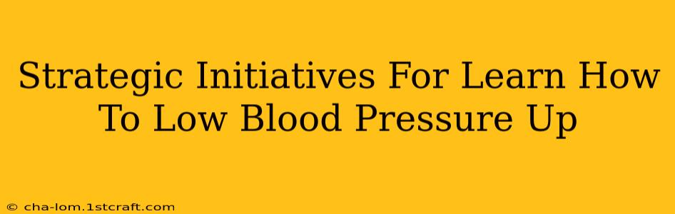 Strategic Initiatives For Learn How To Low Blood Pressure Up