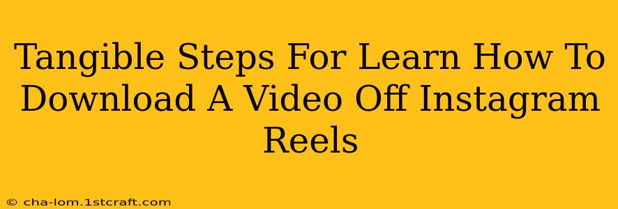 Tangible Steps For Learn How To Download A Video Off Instagram Reels