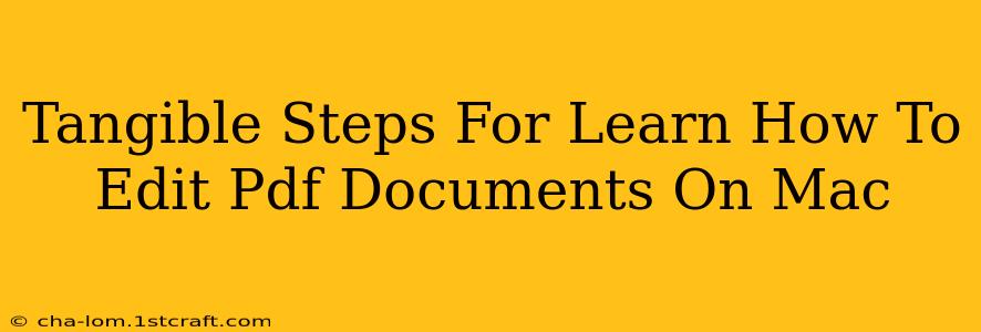 Tangible Steps For Learn How To Edit Pdf Documents On Mac