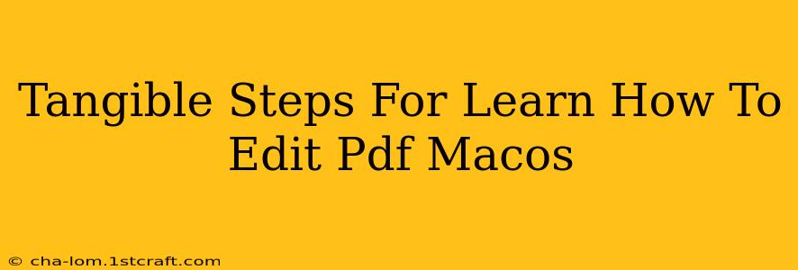 Tangible Steps For Learn How To Edit Pdf Macos