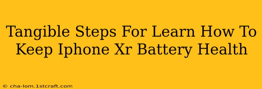 Tangible Steps For Learn How To Keep Iphone Xr Battery Health