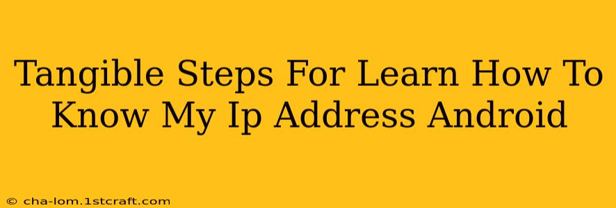 Tangible Steps For Learn How To Know My Ip Address Android