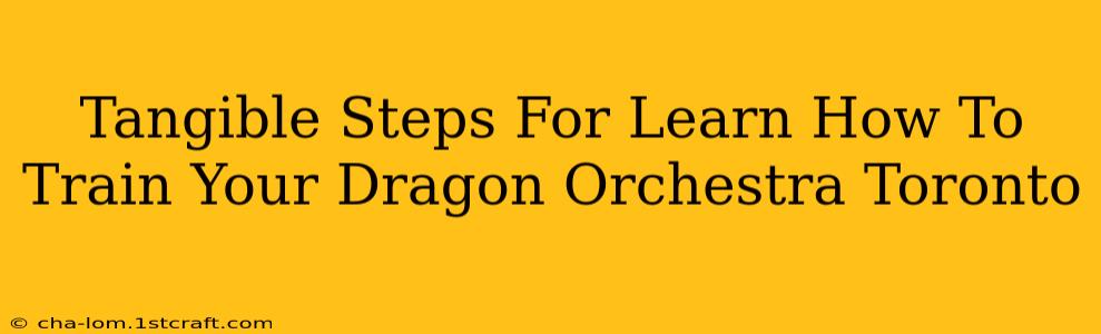 Tangible Steps For Learn How To Train Your Dragon Orchestra Toronto