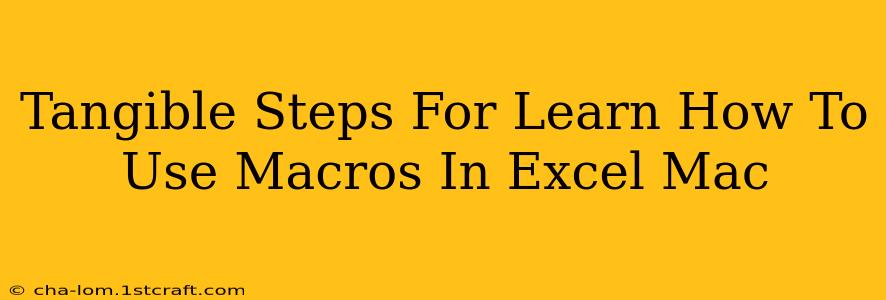 Tangible Steps For Learn How To Use Macros In Excel Mac