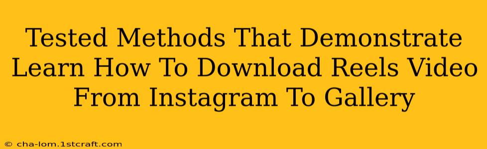 Tested Methods That Demonstrate Learn How To Download Reels Video From Instagram To Gallery