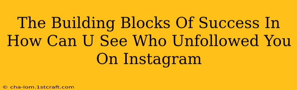 The Building Blocks Of Success In How Can U See Who Unfollowed You On Instagram