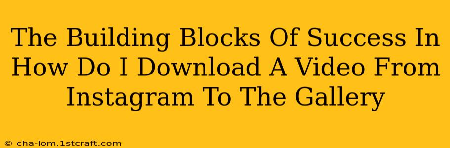 The Building Blocks Of Success In How Do I Download A Video From Instagram To The Gallery