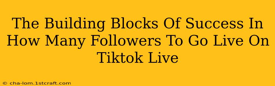 The Building Blocks Of Success In How Many Followers To Go Live On Tiktok Live