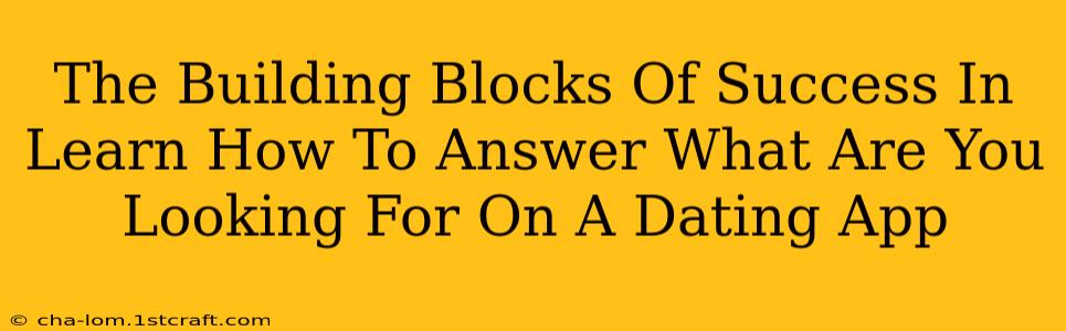 The Building Blocks Of Success In Learn How To Answer What Are You Looking For On A Dating App