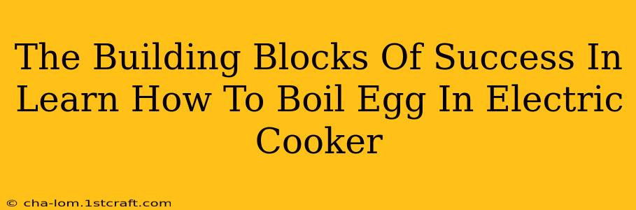 The Building Blocks Of Success In Learn How To Boil Egg In Electric Cooker