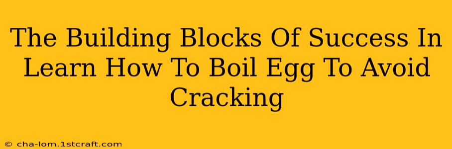 The Building Blocks Of Success In Learn How To Boil Egg To Avoid Cracking