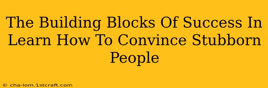 The Building Blocks Of Success In Learn How To Convince Stubborn People