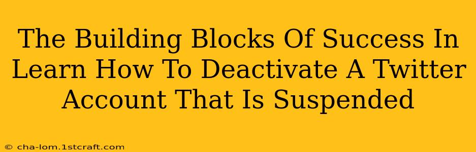 The Building Blocks Of Success In Learn How To Deactivate A Twitter Account That Is Suspended