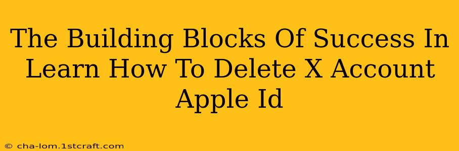 The Building Blocks Of Success In Learn How To Delete X Account Apple Id