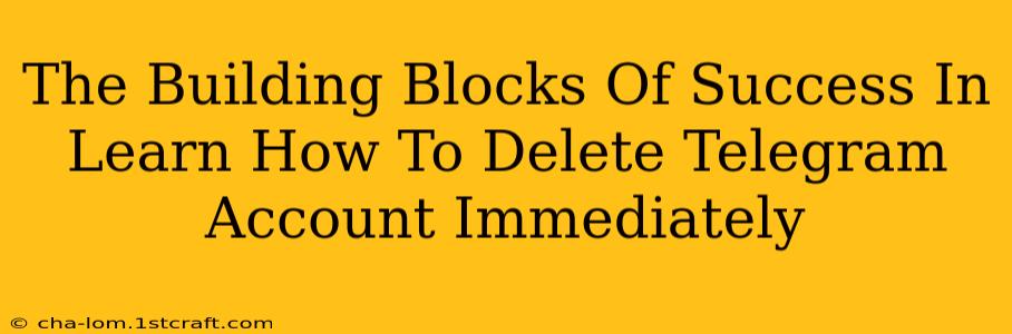 The Building Blocks Of Success In Learn How To Delete Telegram Account Immediately