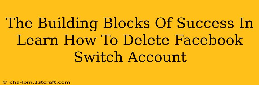 The Building Blocks Of Success In Learn How To Delete Facebook Switch Account