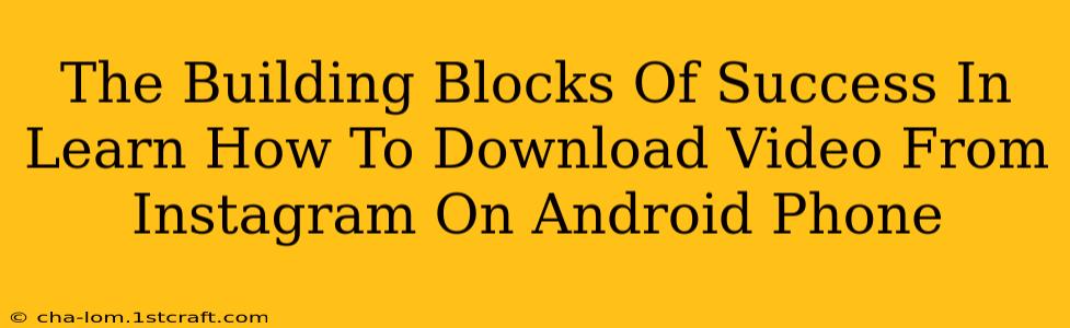 The Building Blocks Of Success In Learn How To Download Video From Instagram On Android Phone