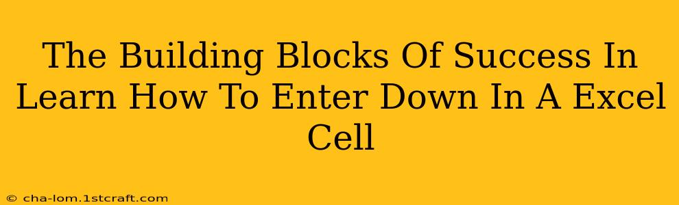 The Building Blocks Of Success In Learn How To Enter Down In A Excel Cell