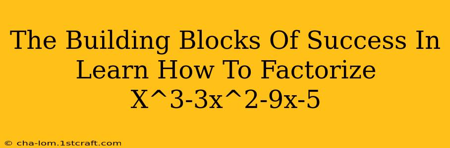 The Building Blocks Of Success In Learn How To Factorize X^3-3x^2-9x-5