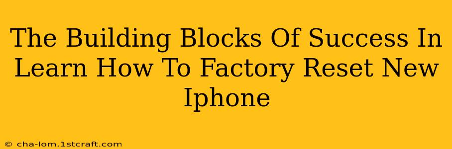 The Building Blocks Of Success In Learn How To Factory Reset New Iphone