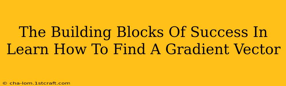 The Building Blocks Of Success In Learn How To Find A Gradient Vector