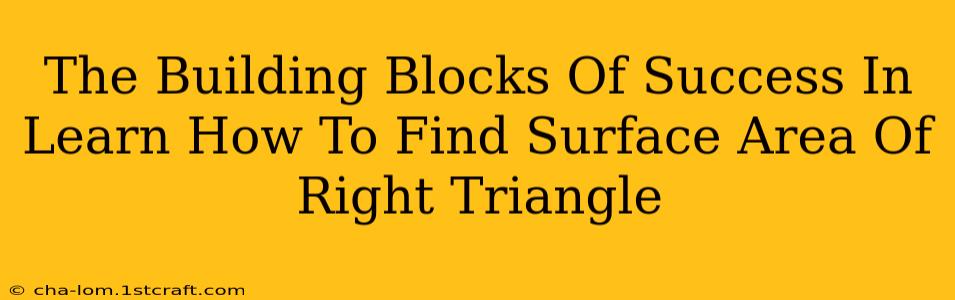 The Building Blocks Of Success In Learn How To Find Surface Area Of Right Triangle