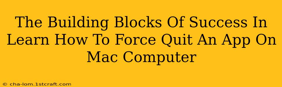 The Building Blocks Of Success In Learn How To Force Quit An App On Mac Computer