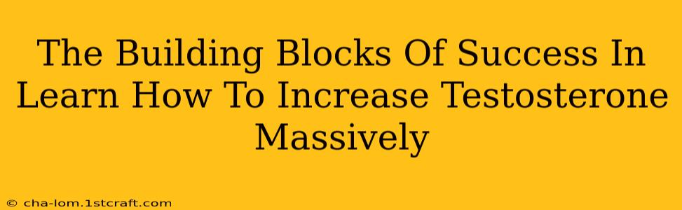 The Building Blocks Of Success In Learn How To Increase Testosterone Massively