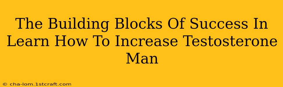 The Building Blocks Of Success In Learn How To Increase Testosterone Man