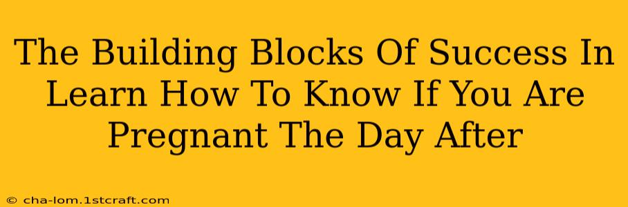 The Building Blocks Of Success In Learn How To Know If You Are Pregnant The Day After