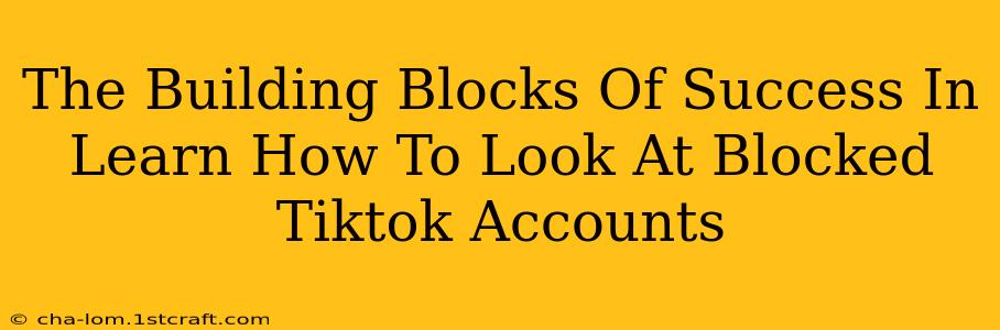 The Building Blocks Of Success In Learn How To Look At Blocked Tiktok Accounts