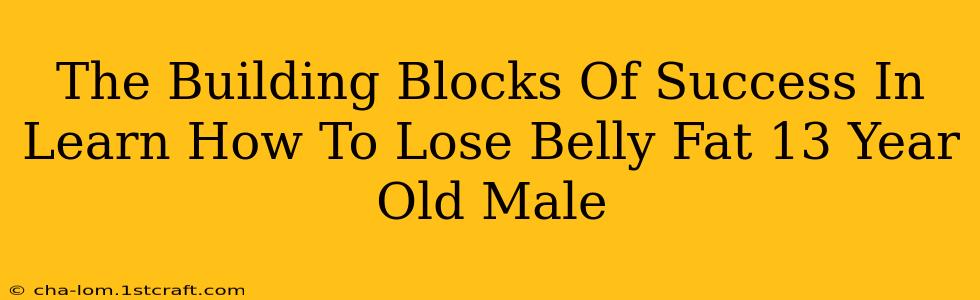 The Building Blocks Of Success In Learn How To Lose Belly Fat 13 Year Old Male