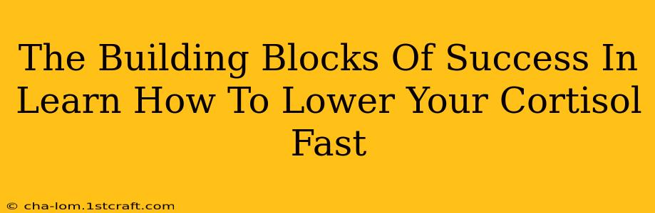 The Building Blocks Of Success In Learn How To Lower Your Cortisol Fast