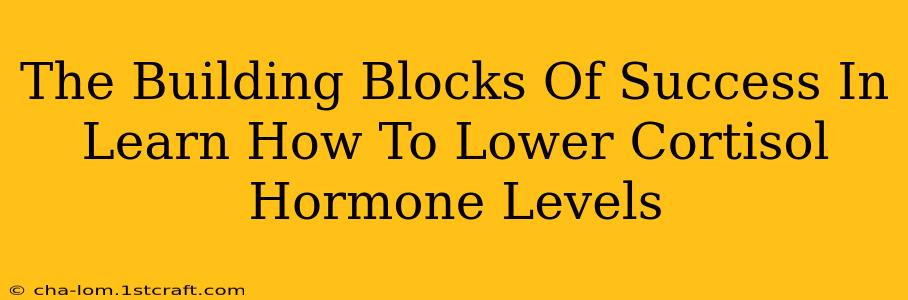 The Building Blocks Of Success In Learn How To Lower Cortisol Hormone Levels