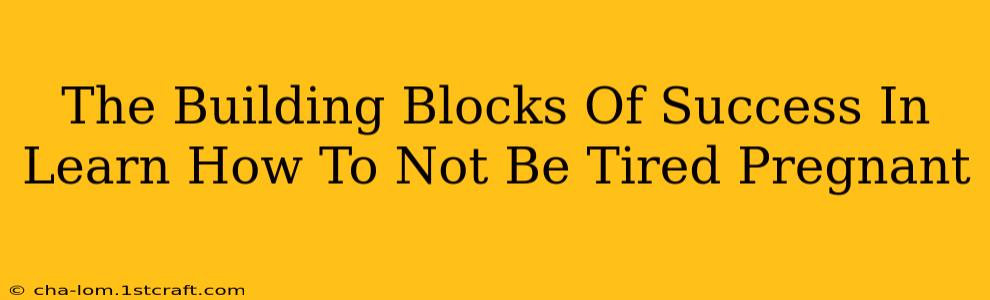 The Building Blocks Of Success In Learn How To Not Be Tired Pregnant