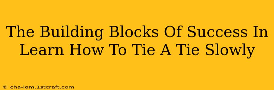 The Building Blocks Of Success In Learn How To Tie A Tie Slowly