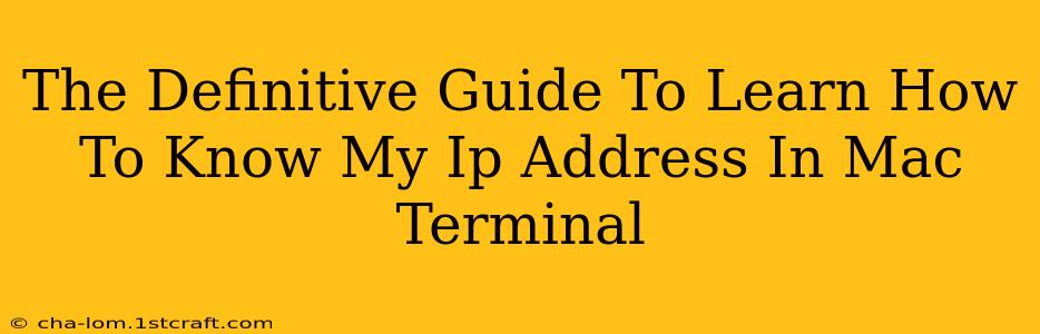 The Definitive Guide To Learn How To Know My Ip Address In Mac Terminal