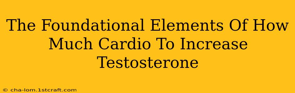 The Foundational Elements Of How Much Cardio To Increase Testosterone