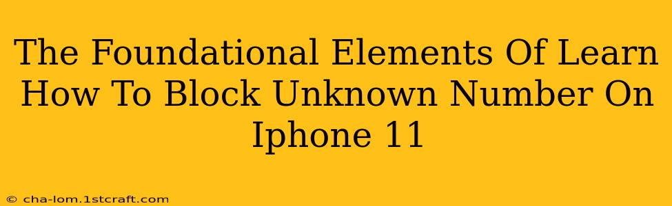 The Foundational Elements Of Learn How To Block Unknown Number On Iphone 11