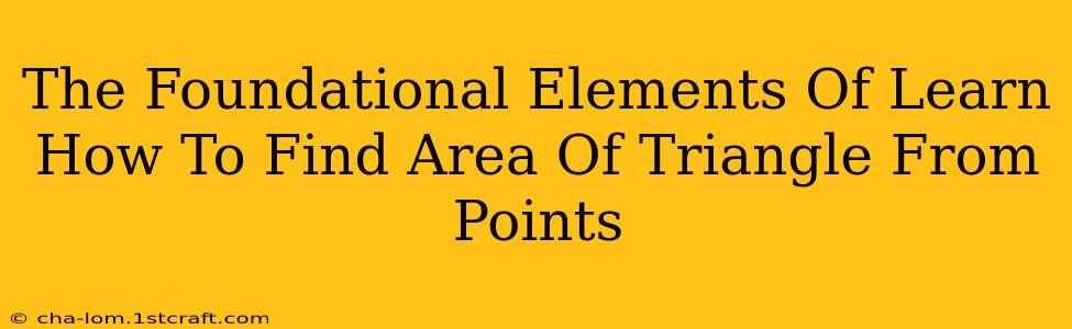 The Foundational Elements Of Learn How To Find Area Of Triangle From Points