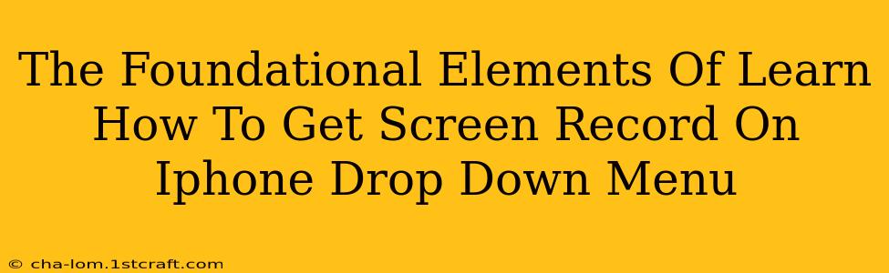 The Foundational Elements Of Learn How To Get Screen Record On Iphone Drop Down Menu