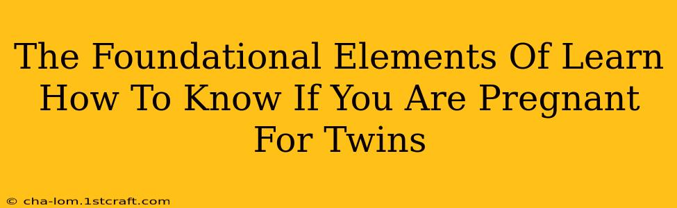 The Foundational Elements Of Learn How To Know If You Are Pregnant For Twins