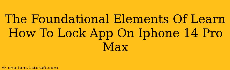 The Foundational Elements Of Learn How To Lock App On Iphone 14 Pro Max