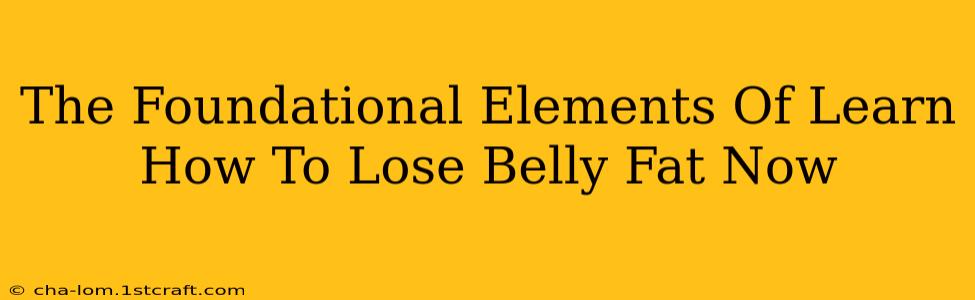 The Foundational Elements Of Learn How To Lose Belly Fat Now