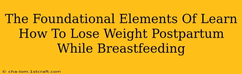 The Foundational Elements Of Learn How To Lose Weight Postpartum While Breastfeeding