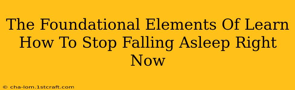 The Foundational Elements Of Learn How To Stop Falling Asleep Right Now