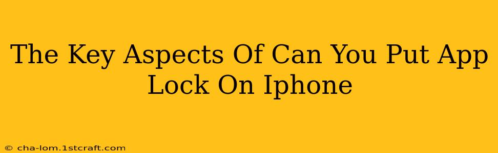 The Key Aspects Of Can You Put App Lock On Iphone