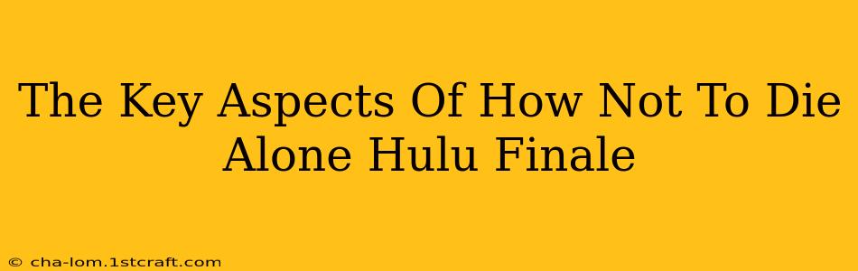 The Key Aspects Of How Not To Die Alone Hulu Finale