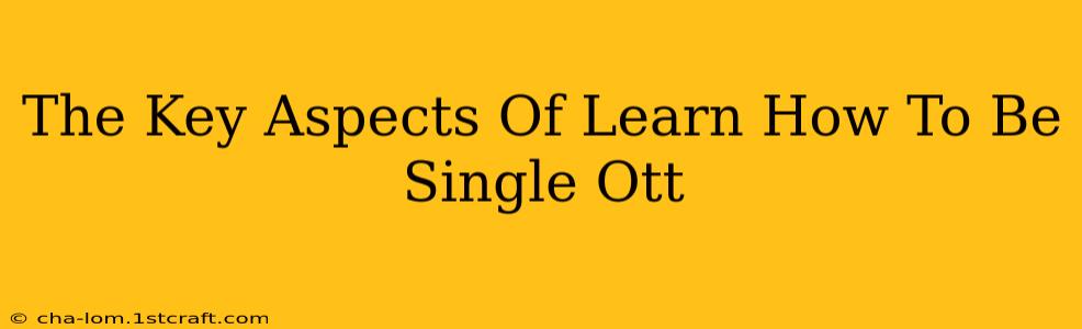 The Key Aspects Of Learn How To Be Single Ott