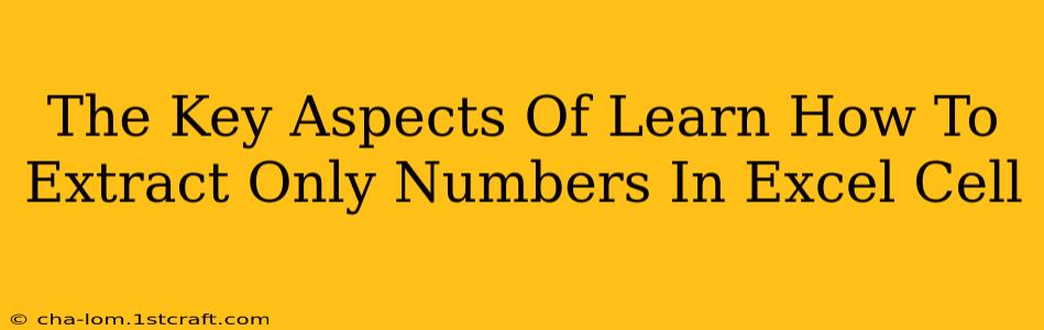 The Key Aspects Of Learn How To Extract Only Numbers In Excel Cell